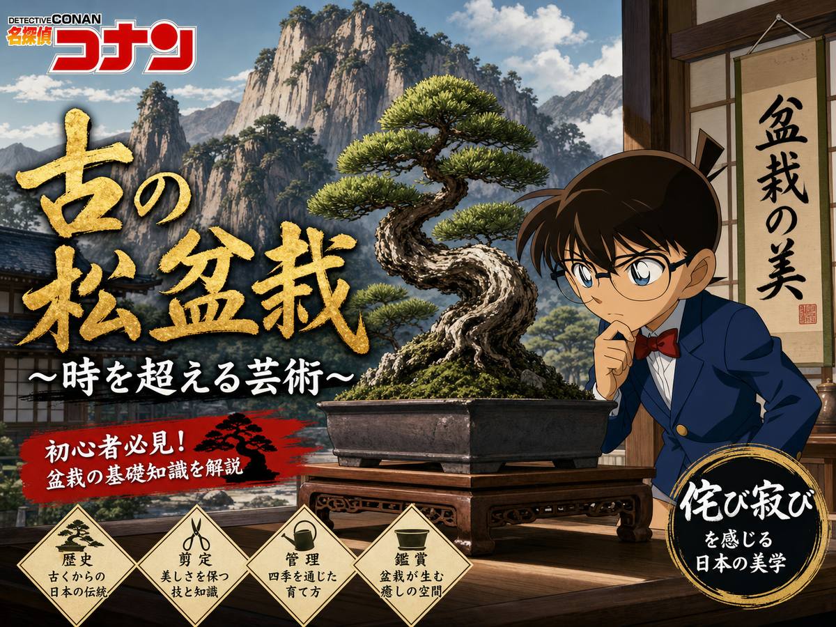 海角视频盆栽视频